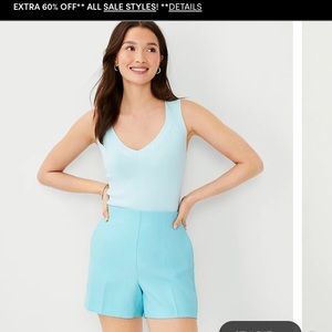 XS Ann Taylor V Neck Sweater Bare Aqua